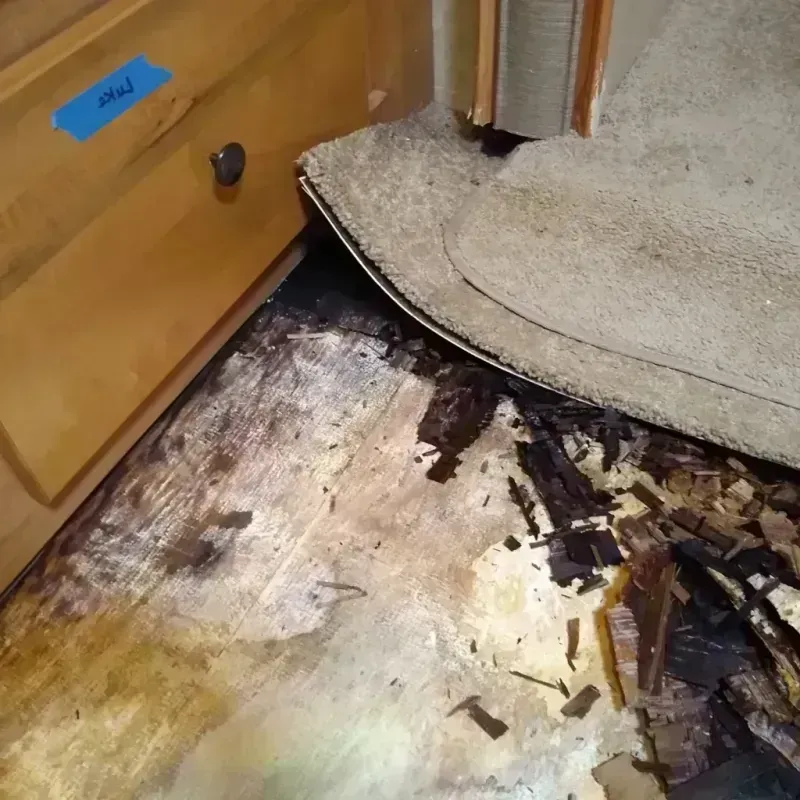 Wood Floor Water Damage in Warren County, IL